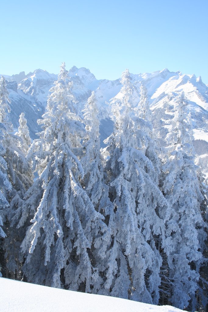 Ausblick Fäneren Richtung Säntis by Marcel Biedermann