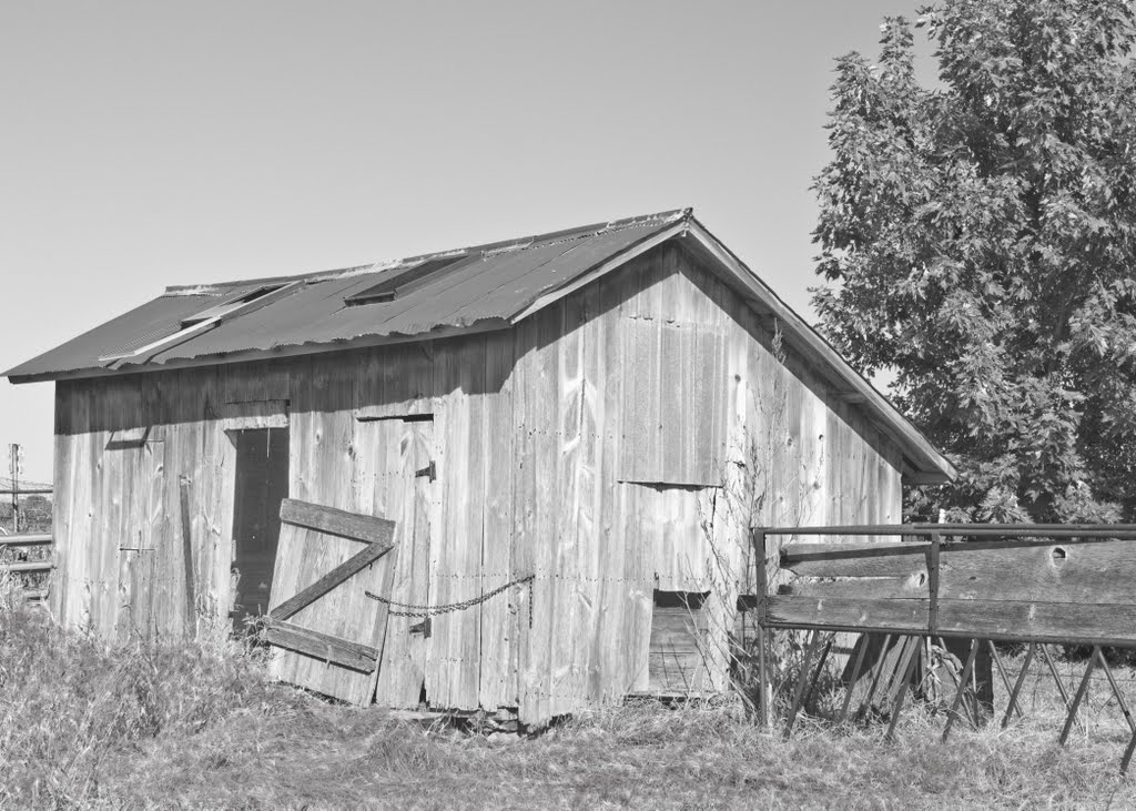 Zorro Lived Here by Bernadette K