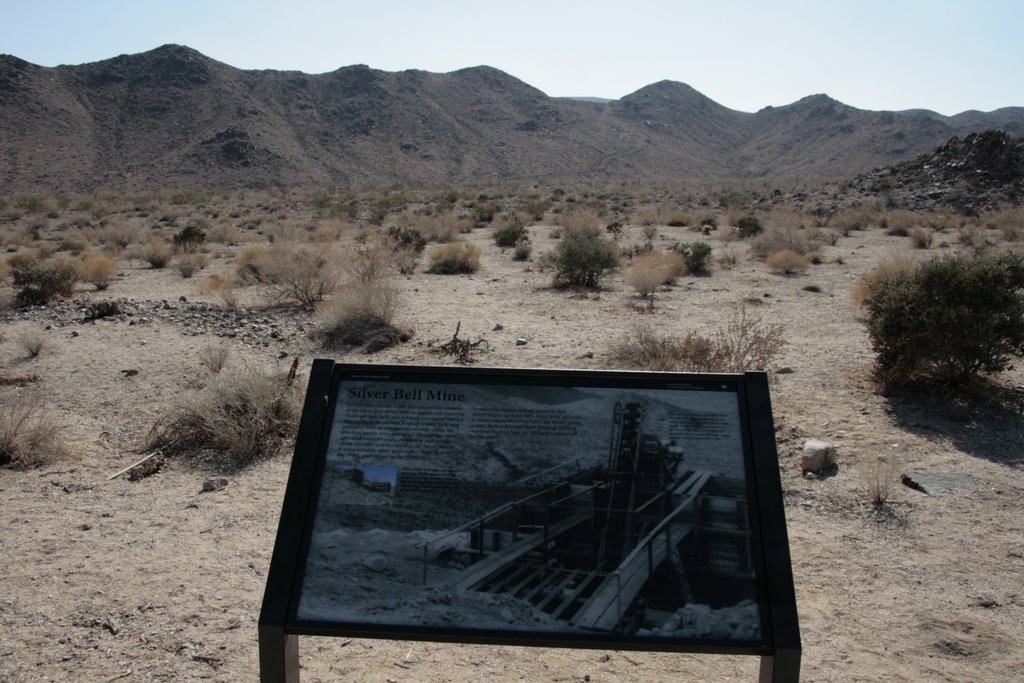 Silver Mine in Joshua Tree NP by hnuecke