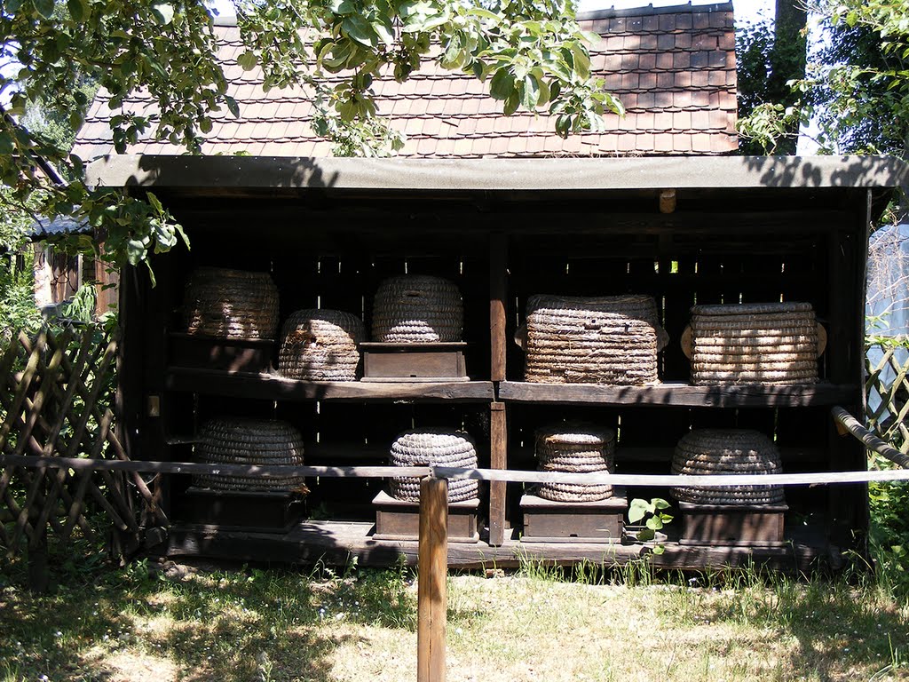 Imkerei im Spreewaldmuseum Lehde by Andreas Rusch