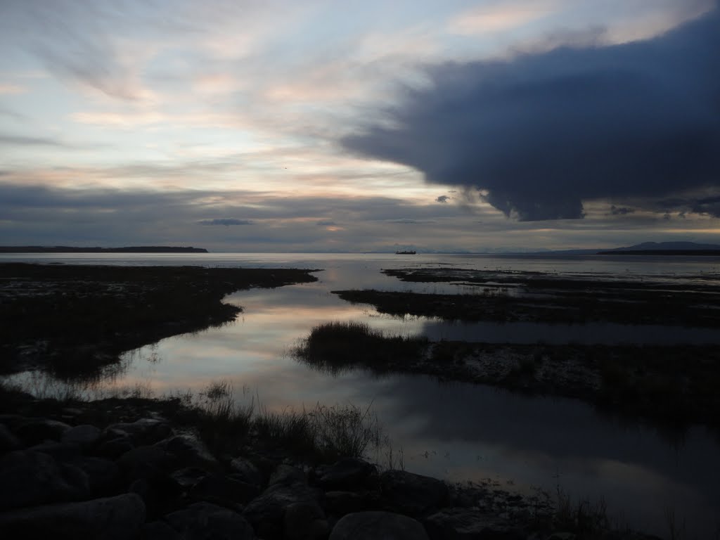 Mudflats by Magnus Einarsson