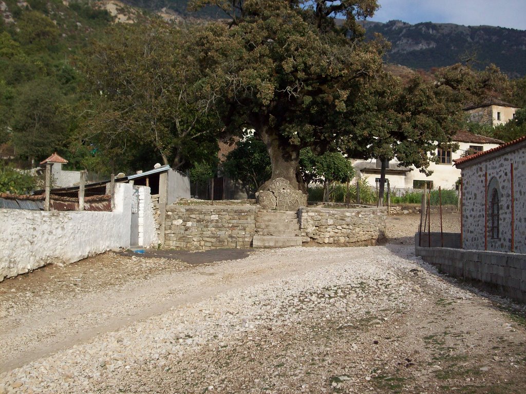 Terbuq village, 'lisi i kishes' by claude coko