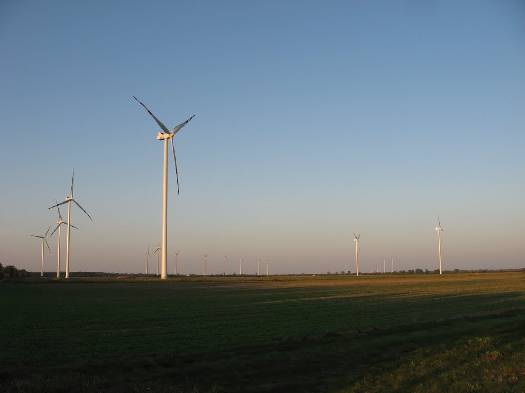 Bei obersiebenbrunn; windpark nach norden by klvienna