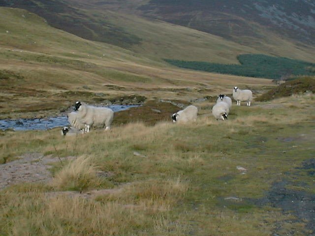 Great Britain 1999, Highlands by Mark.Schaad