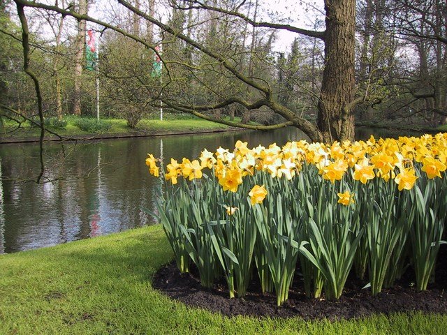 Keukenhof, Lisse by Jan de Boon