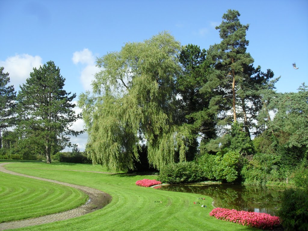 Small pond II by gordo1958