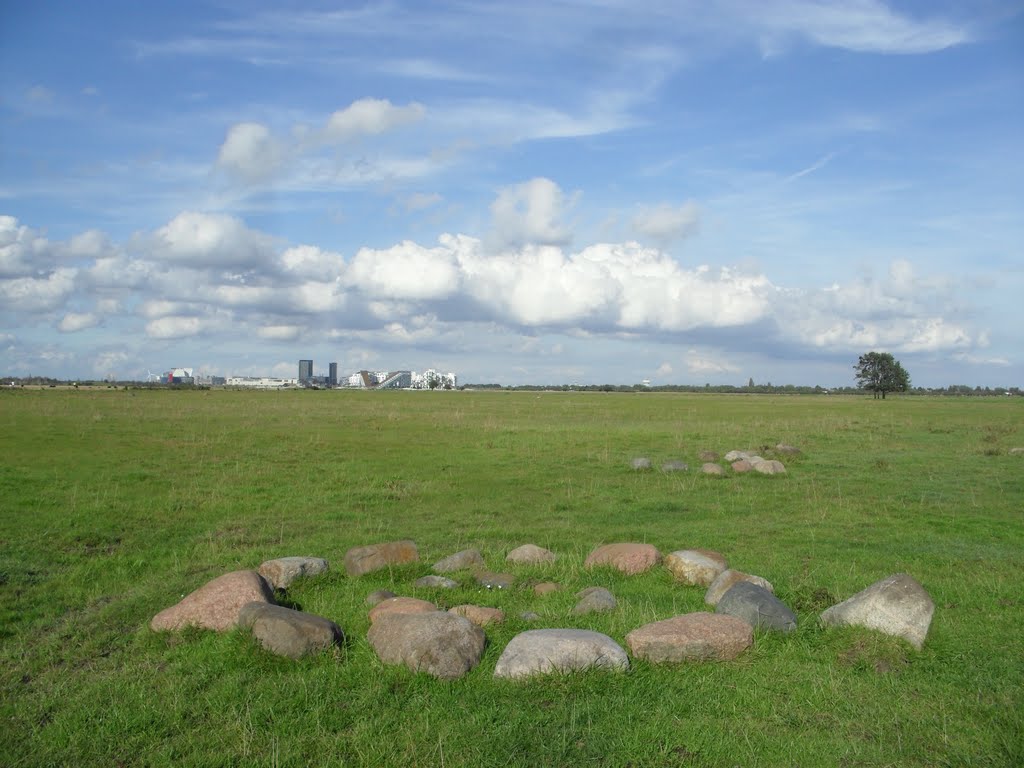 Stone circle by gordo1958