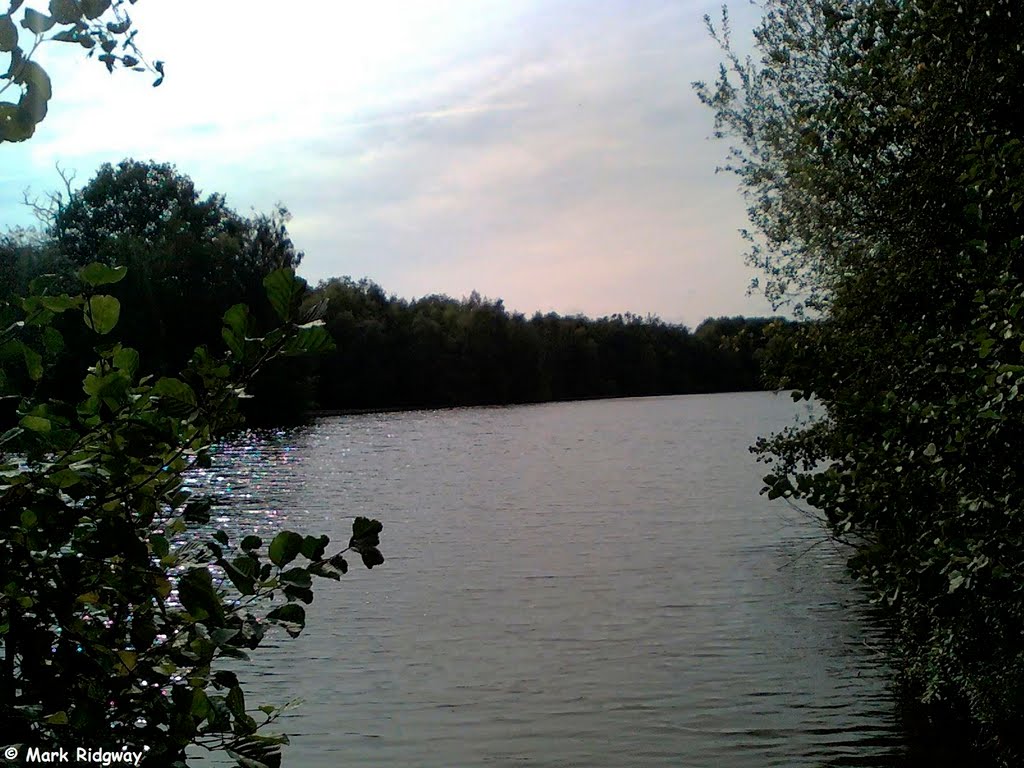 A Lake near Haysden Country Park by Mark Ridgway