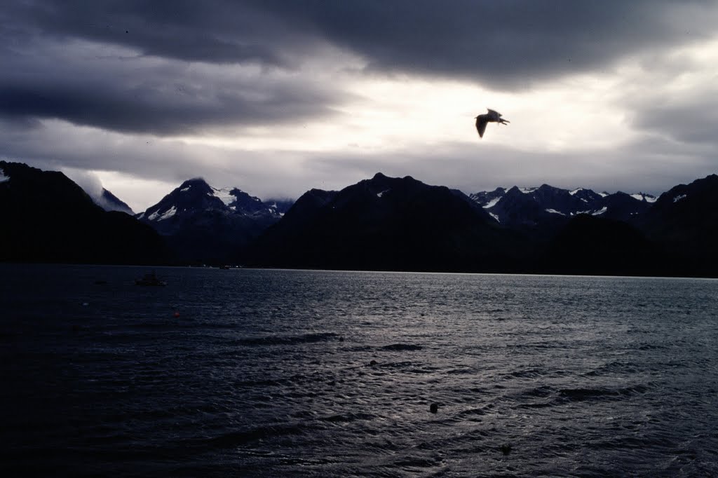 Valdez - Alaska by Alberto Bombardelli