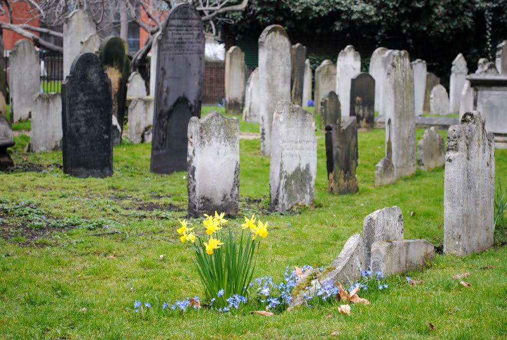 Flowers in the old graveyard by Alexander Kachkaev