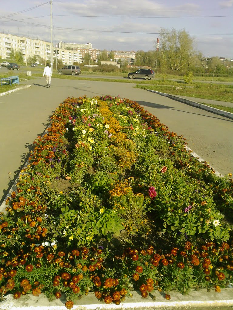 25-09-2011 by Pulsarov