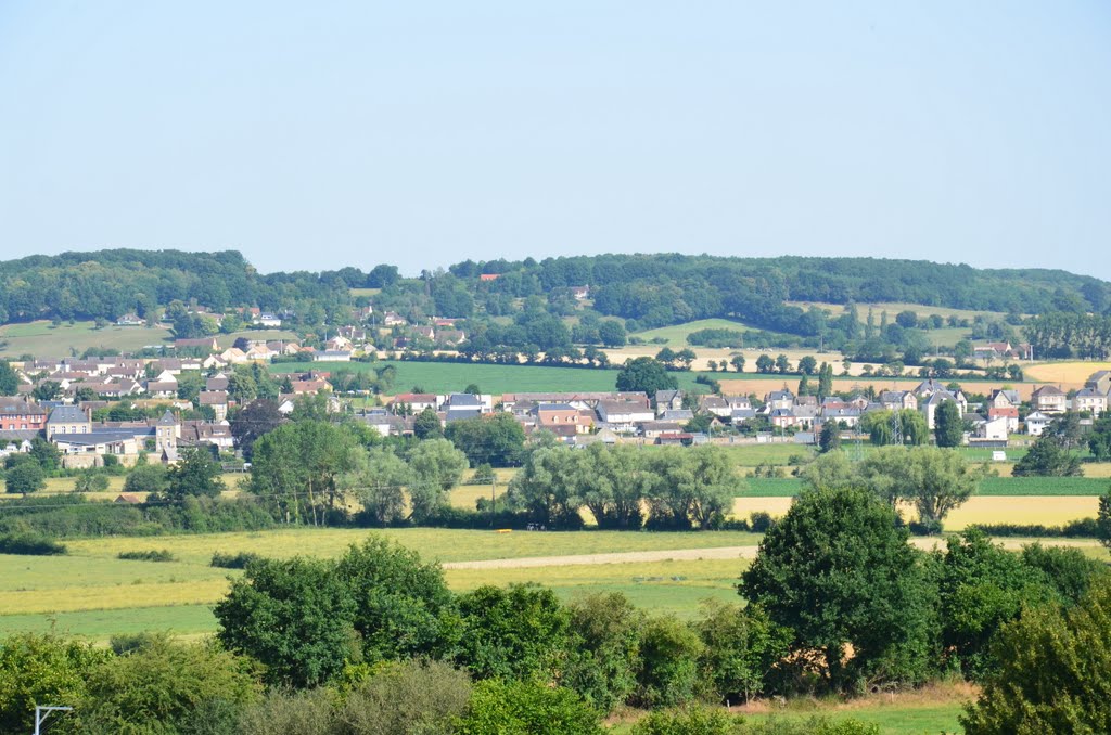 Mâle MâChateauroux, Centre, Francia by Joao Abel Goncalves