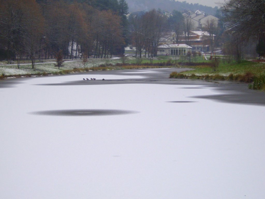 Frozen Lake by ©junebug