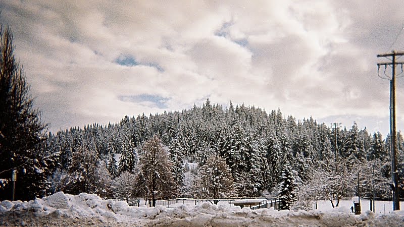 Tubbs Hill, postcard ready. by GeoffScott