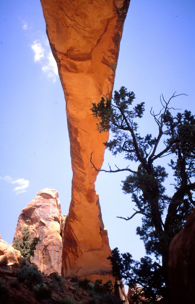 Landscape Arch from below by nummer03