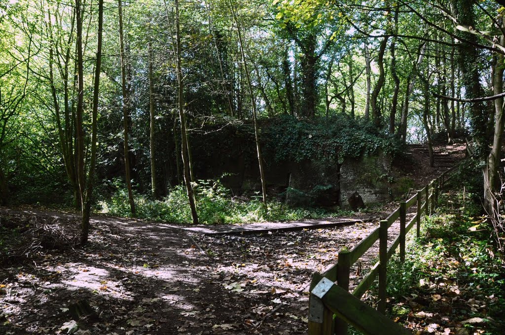 Footpath in quarry ¬ by David Humphreys