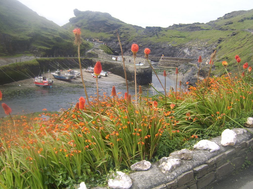 Boscastle Harbour by thecricketer