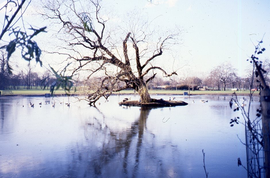 The Windmill lake, Clapham Common. by Bluedoor