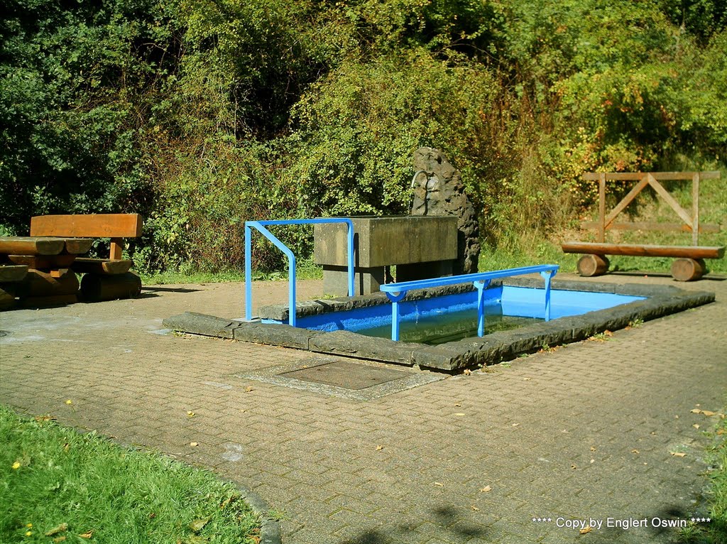 Oberkirchen - Wassertretanlage 27.09.2011 by Englert Oswin