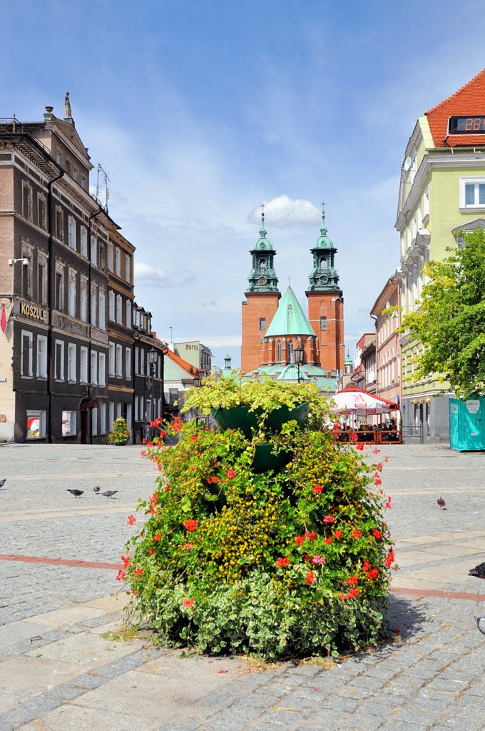 Gniezno - Cathedral by majasa