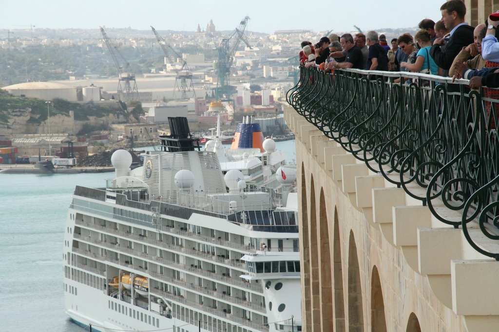 Crucero maltes by Guillermo Dasi