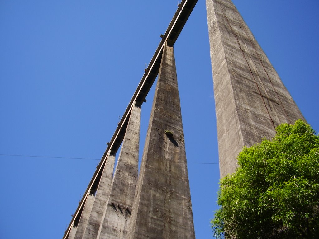 Pilares centrais do viaduto 13 by Caminhos de Guaporé