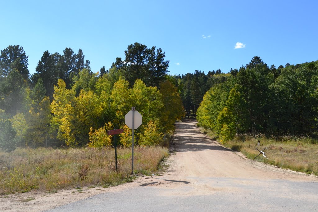 Dory Hill Road 2832m -2011- by GSZENDRODI