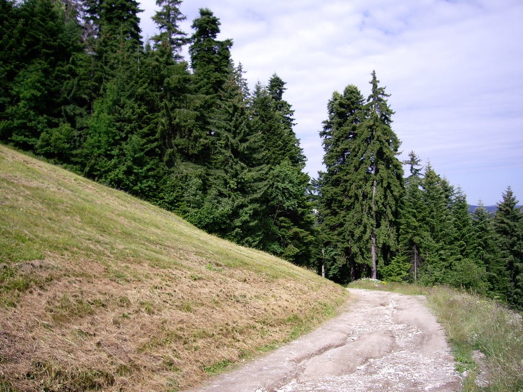 Пътека през пистата (Pathway Through The Ski-Run) by K. Milev