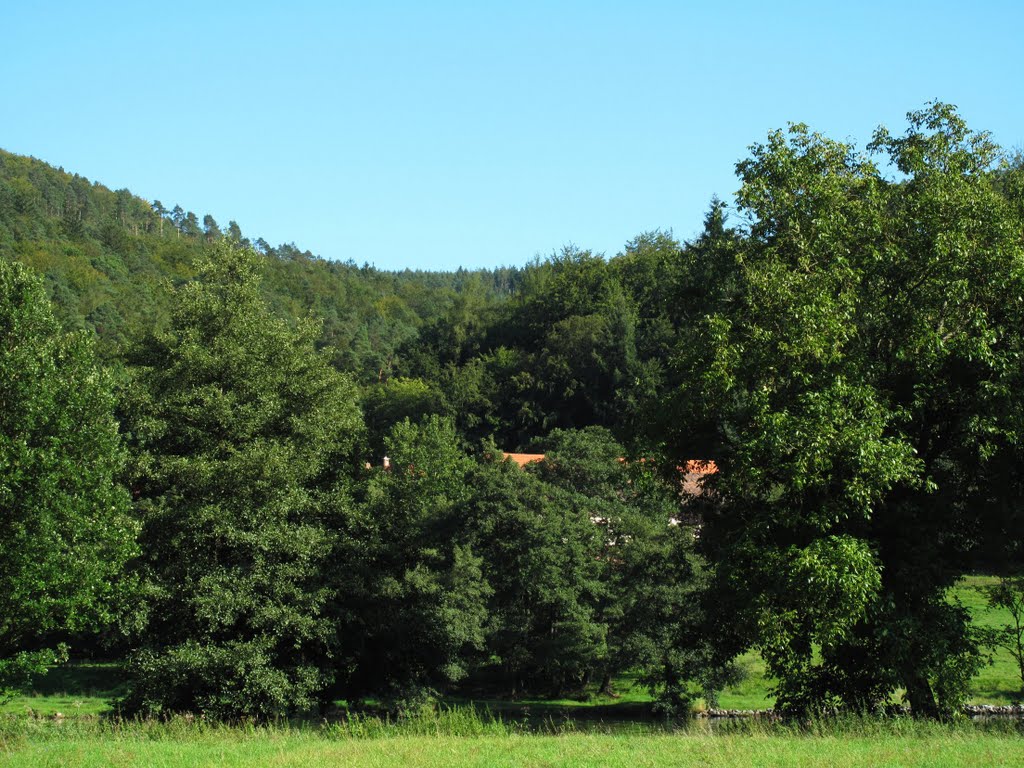 Der Tremhof in der Tremhofklinge vom anderen Mainufer aus by lebola