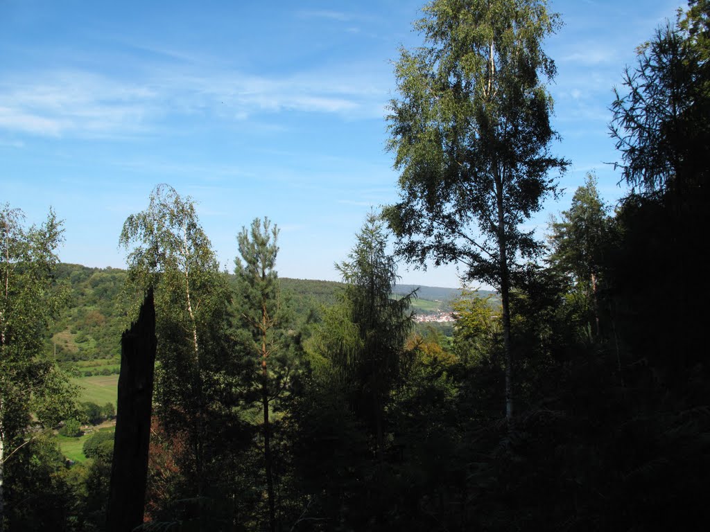 Im NSG "Vogelschutzgebiet beim Tremhof" (Baden-Württemberg) - Blick über den Main zum Spessart (Bayern) by lebola