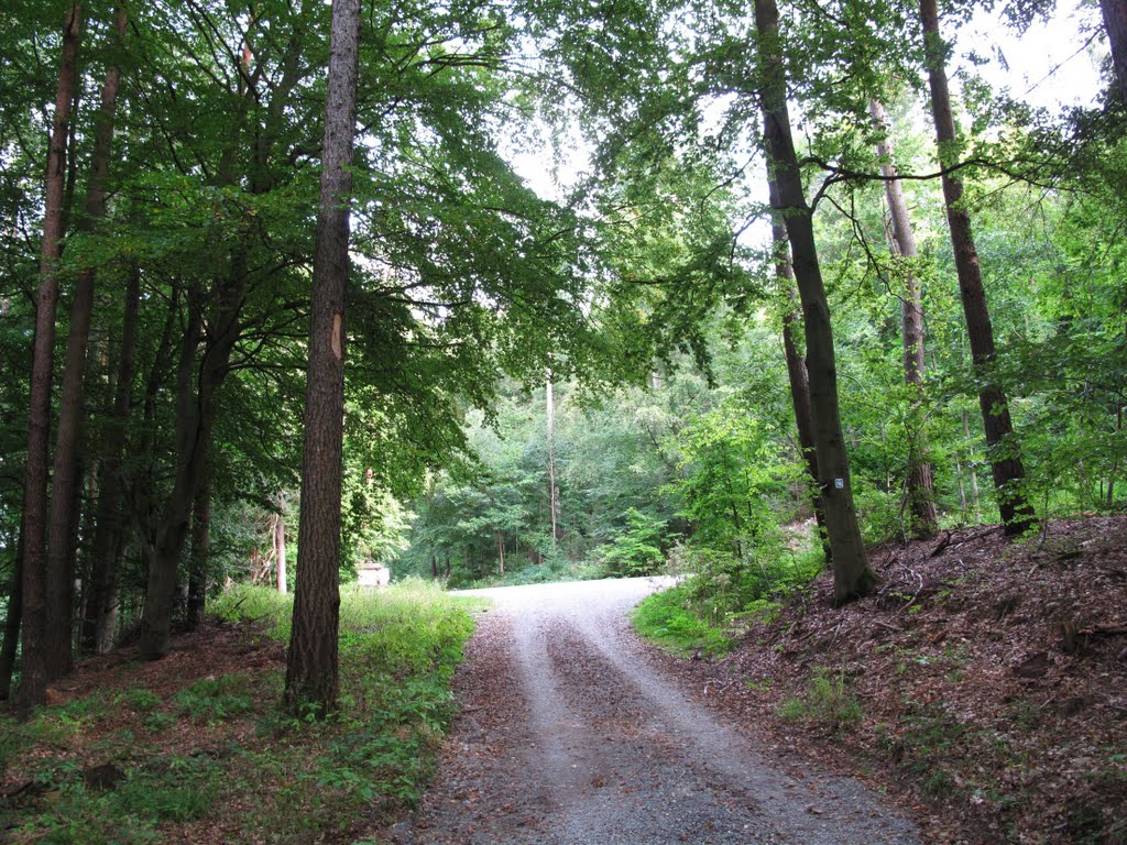 Kurz vorm (Wanderparkplatz) Brennplatz im Großen Wald by lebola