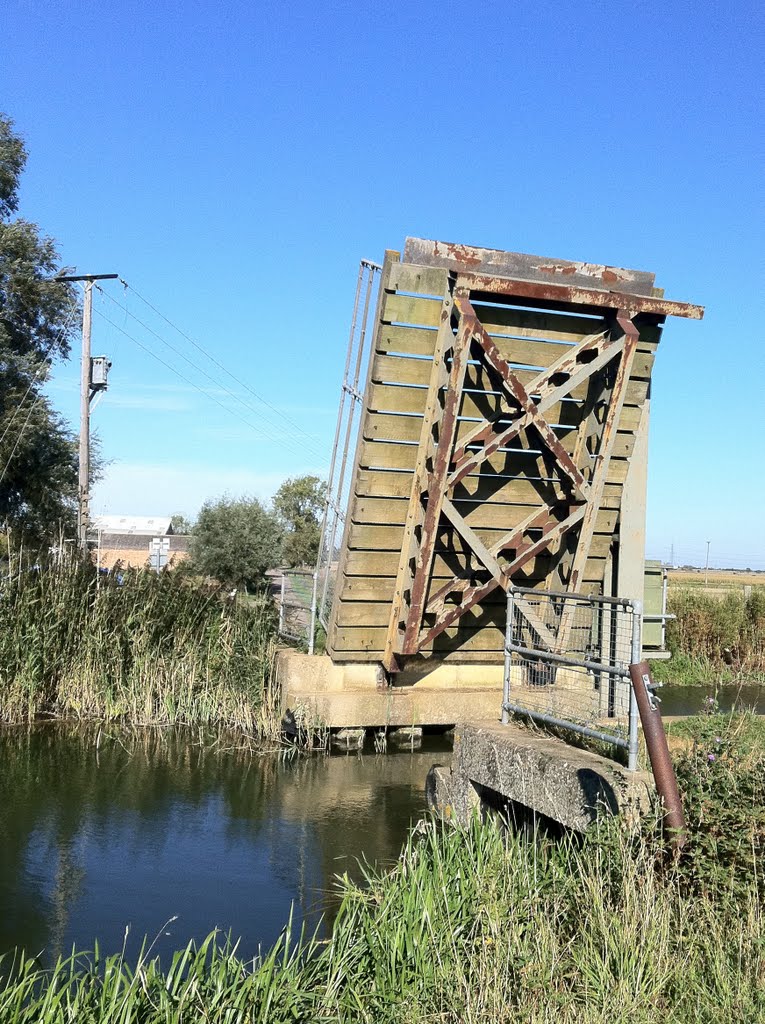 Raised bridge and telegraph pole by JasonF