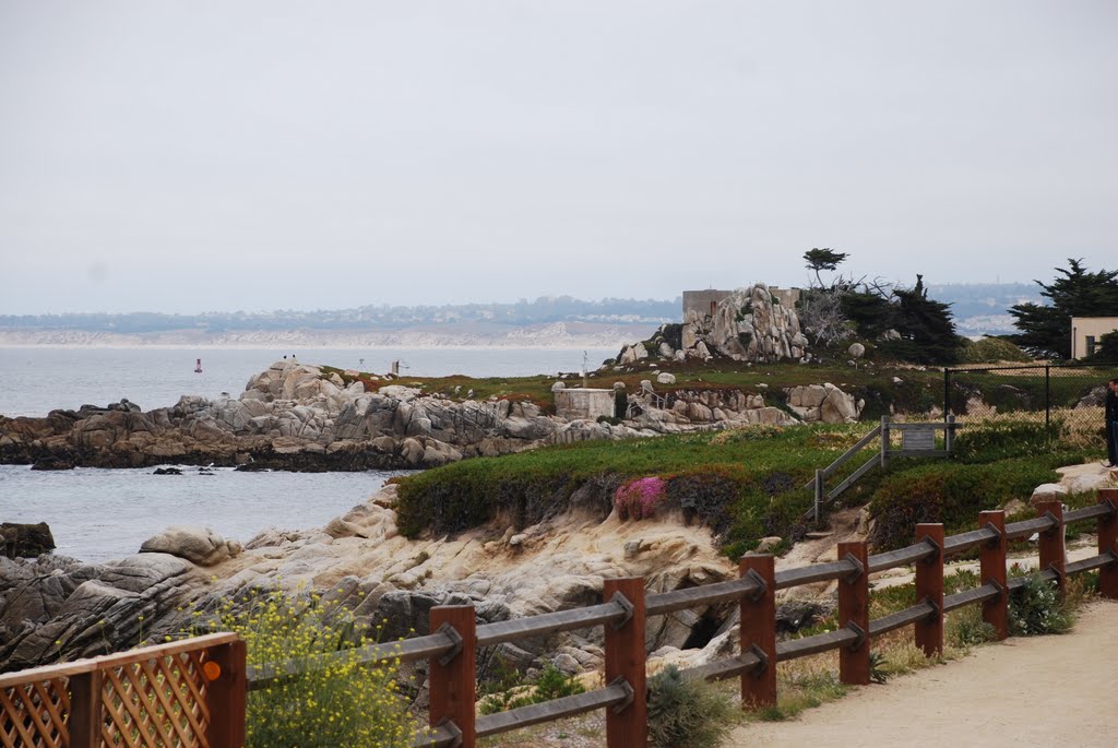 Carmel by the Sea by Eber Beck