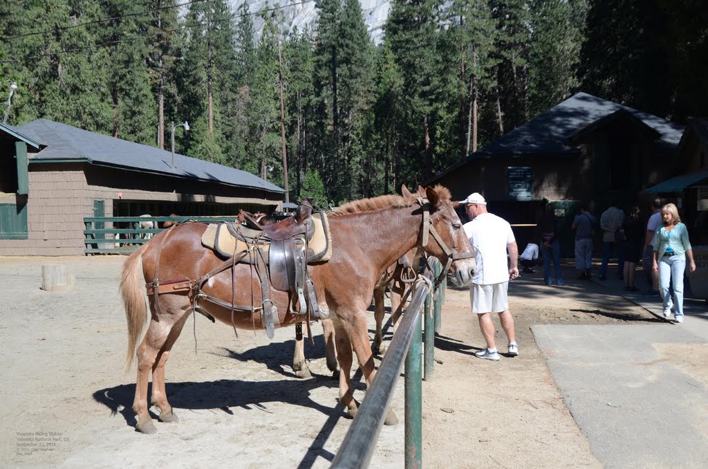 Yosemite Riding Stables by Chip Stephan