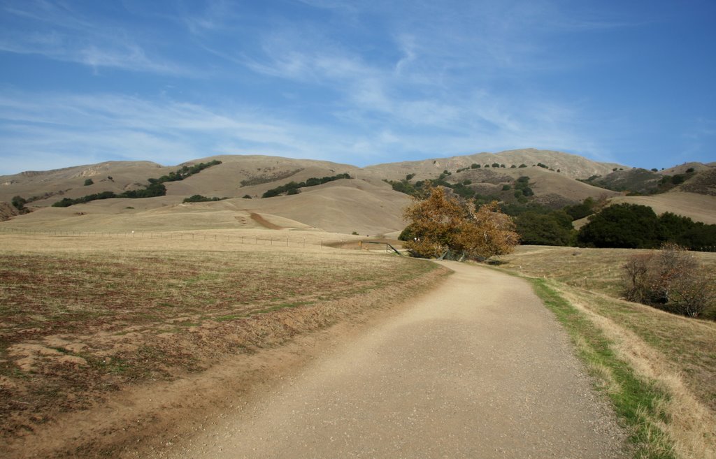 Vineyards - Avalon, Fremont, CA 94539, USA by transcend