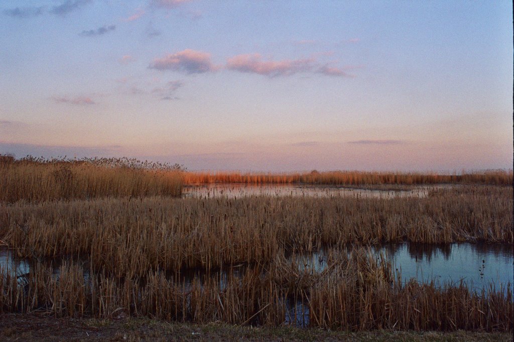 Near galilee RI by stephanie parker