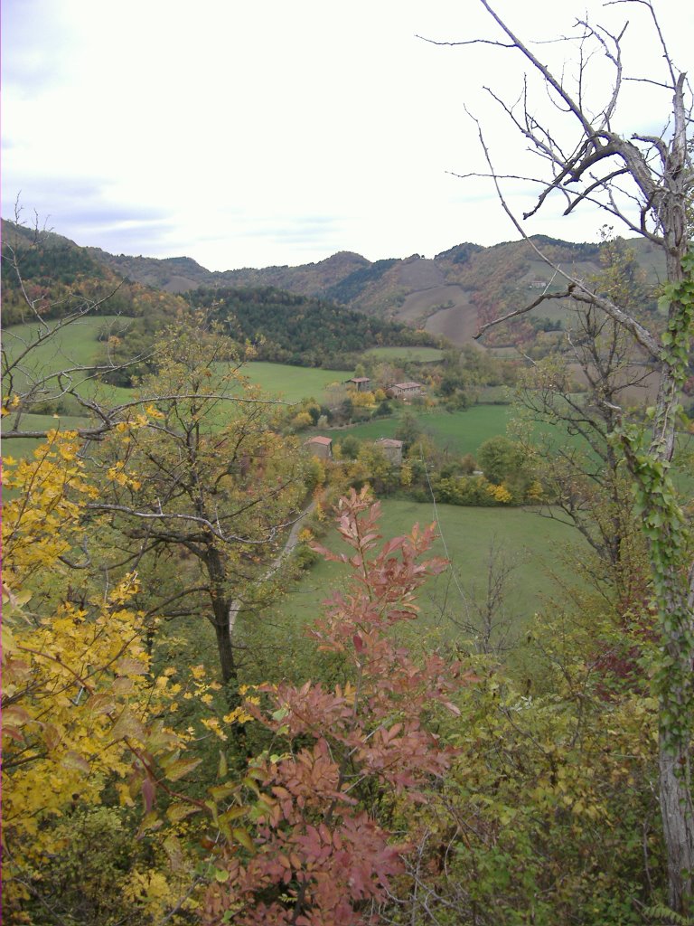 "Il Poggio" e "Fontanella" nella zona di Pagnano by Giorgio Sagrini