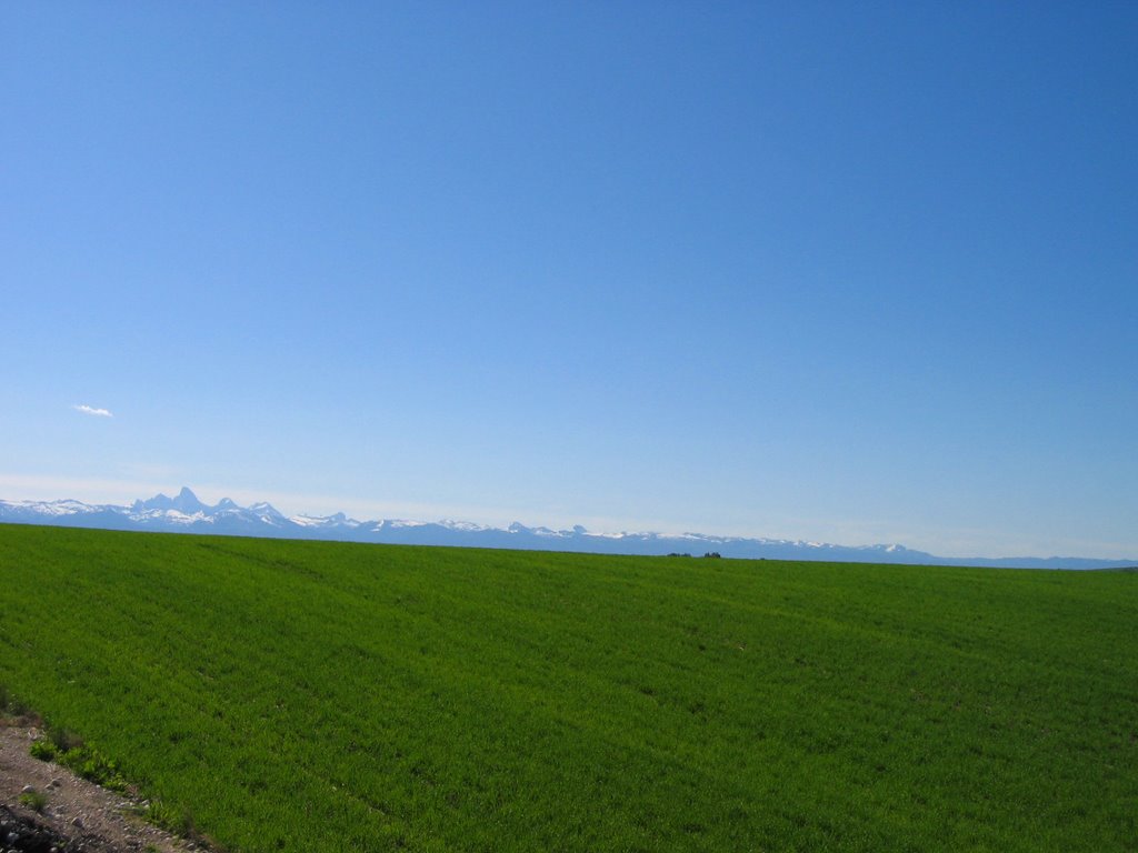 Potato Fields & The Grand Tetons In Idaho by chrismw1