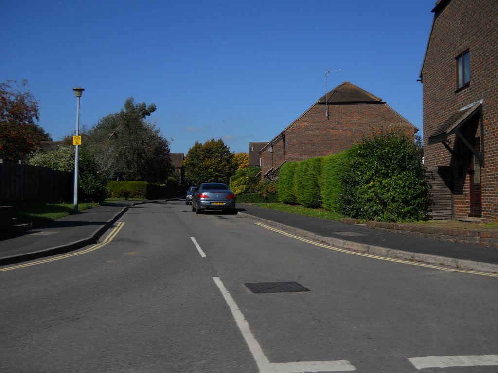 The road of Manley James Close by Robert'sGoogleEarthPictures