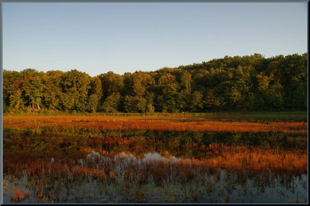 Etang du Breuil by fat boy1584