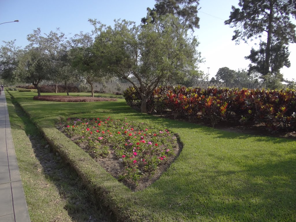 San Borja - Jardines del Pentagonito by Rony Fajardo Ferreccio