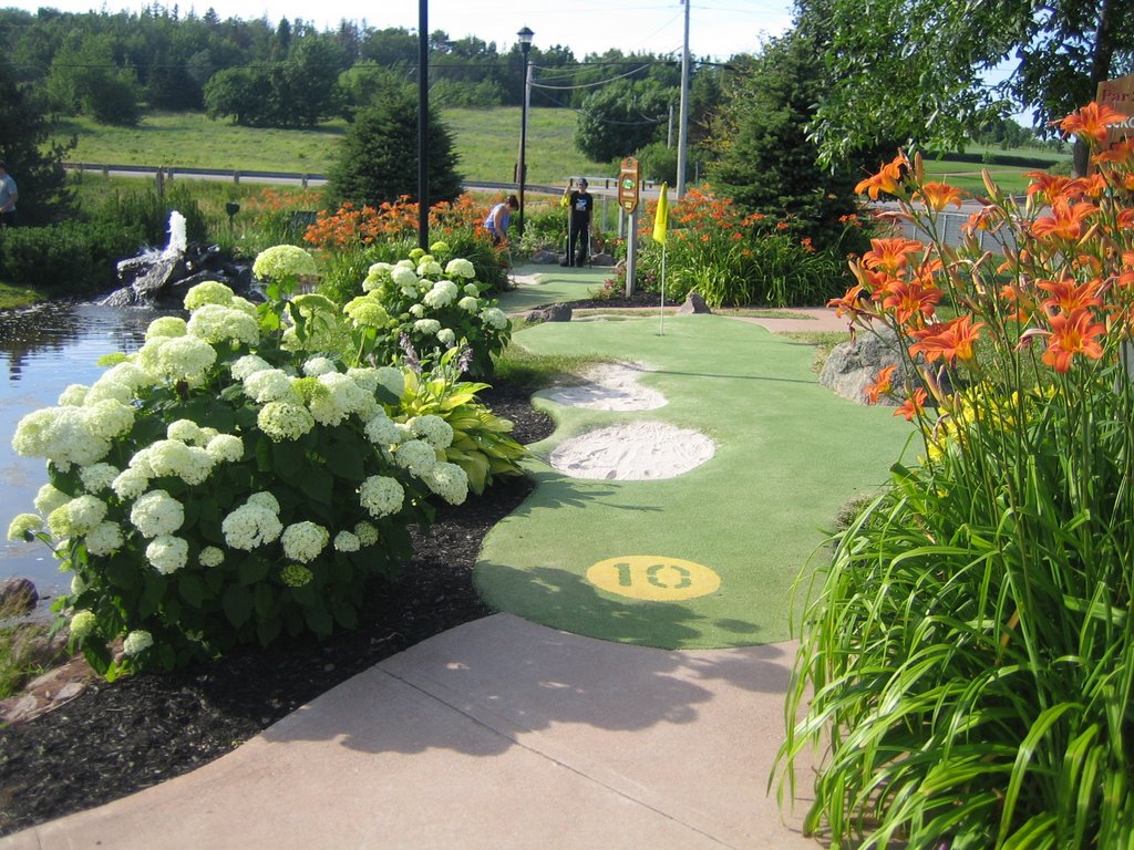 Mariner's Cove Miniature Golf by D Hambly