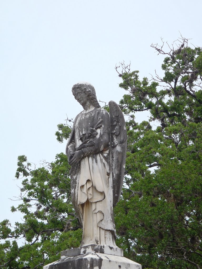 The Women (some are angels) of Oakwood Cemetery, Austin, Texas by Taylor Martinez