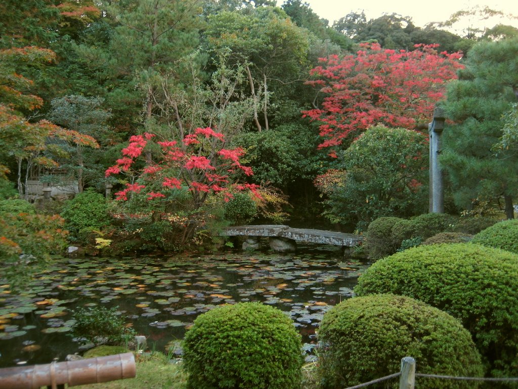 Konchi-in (Nanzen-ji) 1 by Elliot Kallen