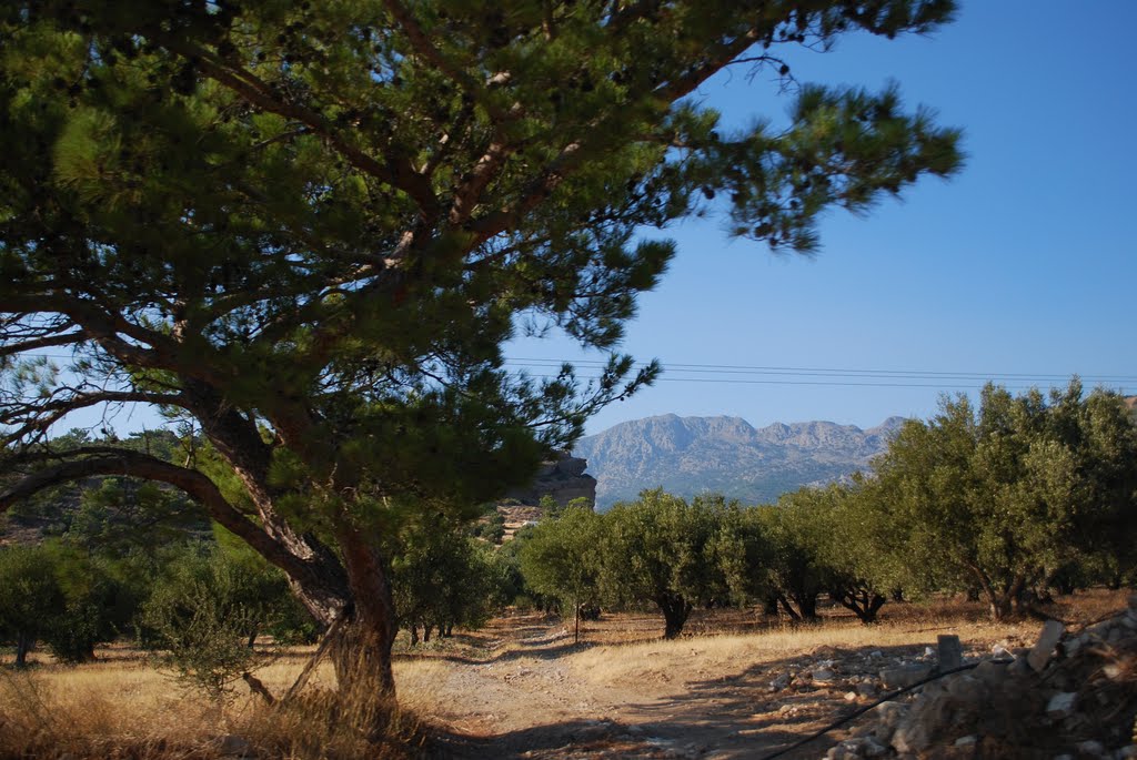 Kreta_2011_On The Route by polleke