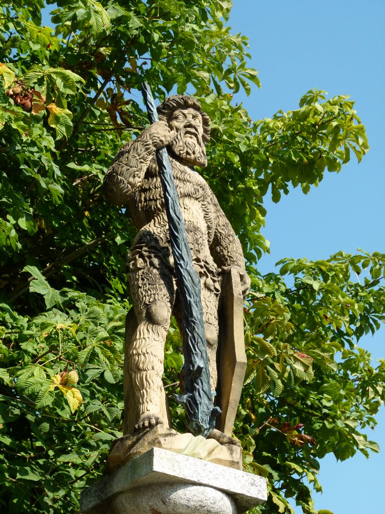 Fontaine du Sauvage, Place du Pertuis by Magda GHALI