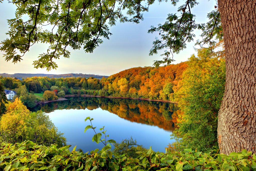 Erste Herbststimmung 2011 am Ulmener Maar by kurt Oblak