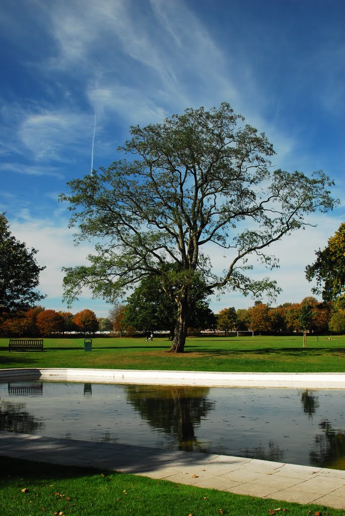 Tettenhall Upper Green. Autumn 2011 PGN by nickell