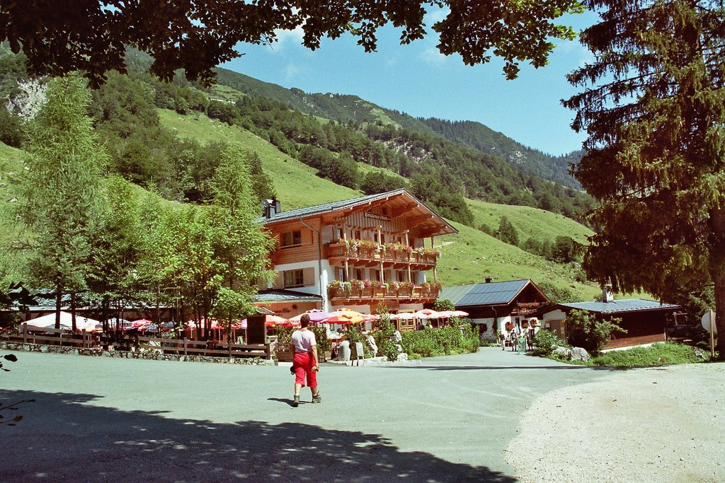 Griesner Alm im Kaiserbachtal by Armin Menzer