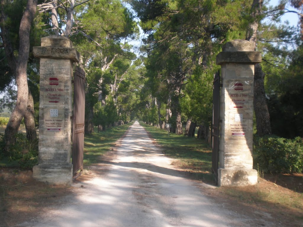 Alpilles à Orgon by Charbela